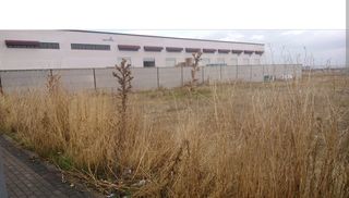 Solar industrial  Avenida de n�speros. Venta de 10.000 m2 industriales pol. la sendilla