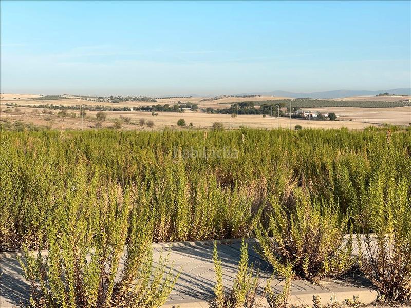 Foto a65468d2-2b6d-408b-88fd-991cf4295f6c. Terreno residenziale in calle la peluquera 910 in Valdemoro