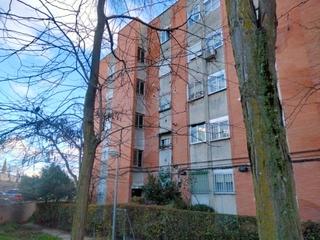 Pis a Calle gaira 6