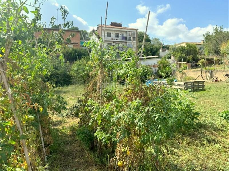 Foto fdcdf1ae-6e19-4528-9889-6c909f40ea87. Terreno residencial terreno urbano en Can Parellada Terrassa