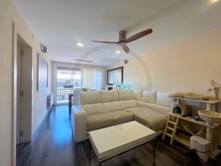 Flat in Can Palet