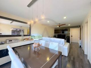 Flat in Can Palet