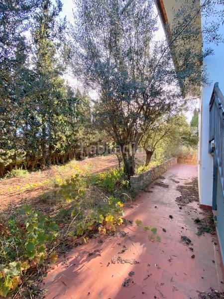 Foto 141c9e02-2d8c-415f-9a29-e03e59a70d26. Casa parcela plana! en Matadepera