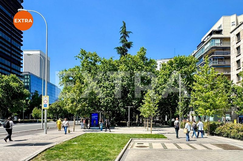 Foto ed2ab392-3c44-4382-93dc-e126a767cbf3. Aparcament cotxe a El Viso Madrid