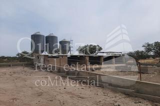 Masia a Herrera de Alcántara. En venta fantástica finca rústica en herrera de alcántara, cácer