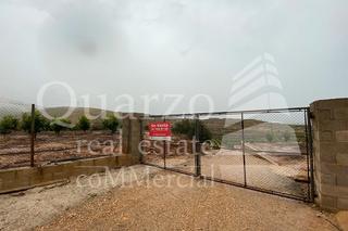 Finca rústica a Carlet. Terreno en venta en carlet, valencia