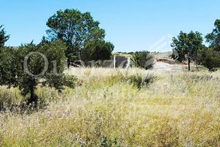 Finca rústica en Ribatejada. En venta fantástica parcela en ribatejada, madrid.