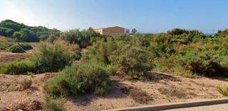 Terreny residencial  Carretera de guardias viejas. Se vende solar urbano en el ejido, almería
