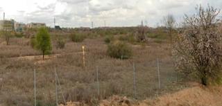 Gewerbliches Grundstück in El Olivar. Se vende solar urbano en alcalá de henares