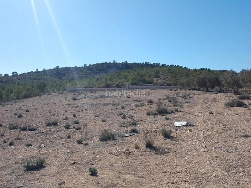 Foto 844ccc5d-5a37-4f3f-8f89-d50876acce6d. Fondo rustico in Caudete