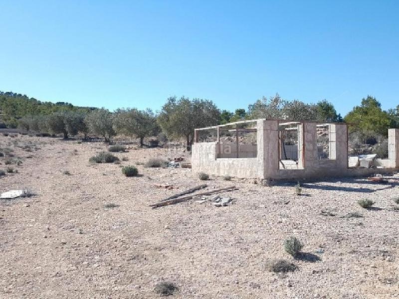 Foto 9fc1e1a9-e7c9-42ea-8f1e-9afec21a3cdc. Fondo rustico in Caudete