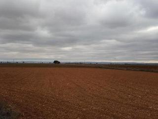Finca rústica en Motilleja. Se vende solar rústico en motilleja, (albacete)