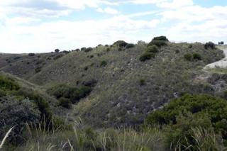 Finca rústica en Morata de Tajuña. Se vende terreno rústico en morata de tajuña