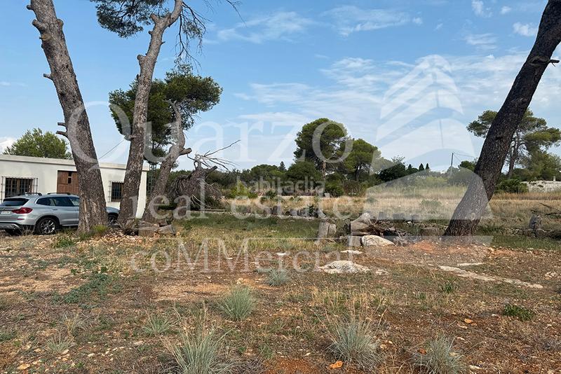 Foto 798d7c53-dba6-4164-9aef-b6a681fc3909. Finca rústica se vende finca rústica , (alicante) en Dénia