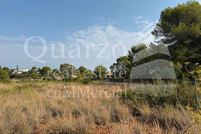 Foto 8c19c3b5-2edc-455b-a8e6-b988d4f24a64. Finca rústica se vende finca rústica , (alicante) en Dénia