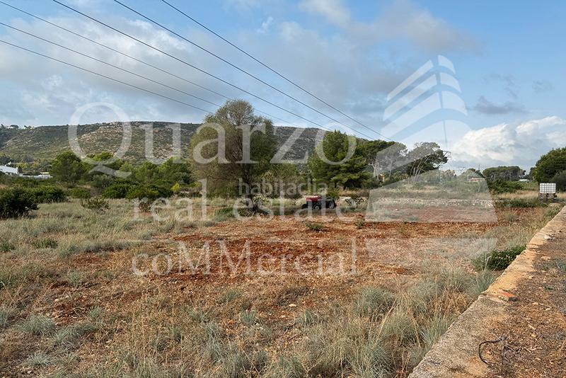 Foto c51352b1-3e3c-44af-ae19-066c4600a50c. Finca rústica se vende finca rústica , (alicante) en Dénia