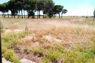 Terreny residencial a Íscar. Se vende solar urbano en íscar, (valladolid)
