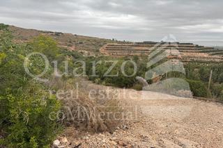 Finca rústica a Carlet. Se vende finca rústica en carlet, (valencia)