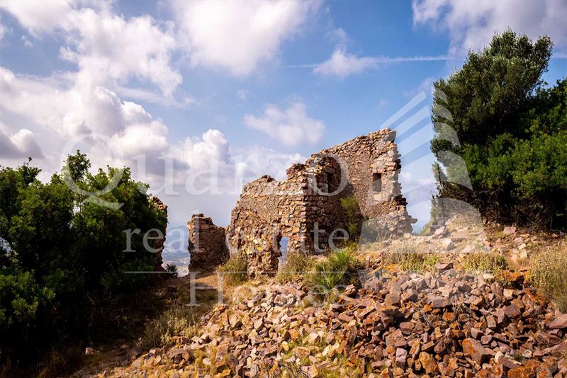 Foto c4f60337-8024-4a8a-b499-09fdc09445be. Pis a Vall d´Uixó (la)