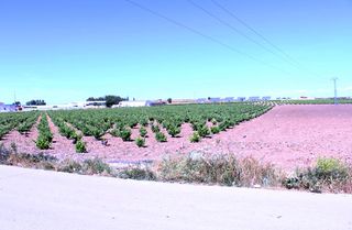 Terreny residencial  Calle viñedos. Se vende solar urbano en las mesas, (cuenca)