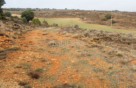 Foto 398a0875-a6b1-4771-87a8-1a932620a77c. Finca rústica a Tordellego