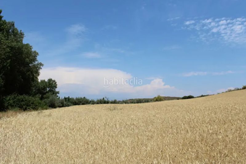 Foto a9644852-c5f1-4b78-9fcf-093e2e9a99cb. Finca rústica a Casar de Escalona (El)