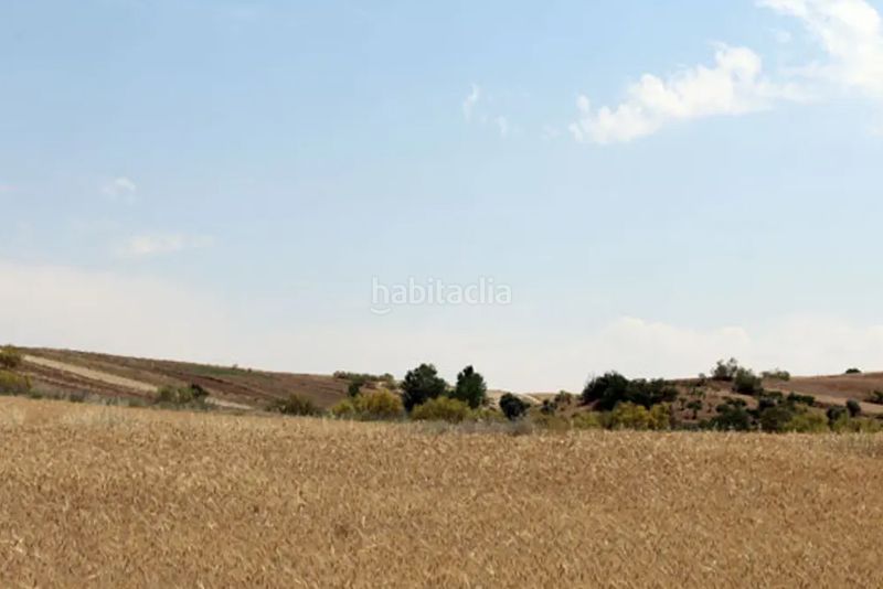 Foto c5802e25-ec18-4e04-900e-a3a535c91c60. Finca rústica a Casar de Escalona (El)