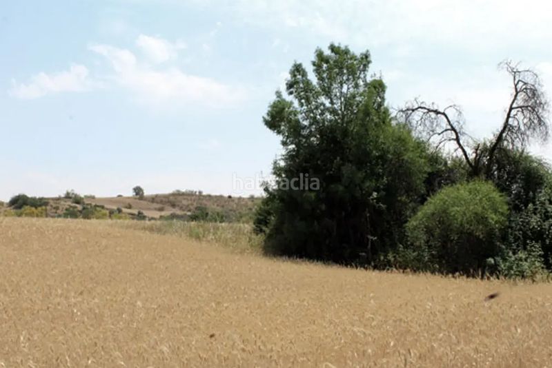 Foto eee41faa-2db0-40bb-be23-aa394c93b651. Finca rústica a Casar de Escalona (El)