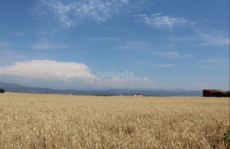 Foto 6c98df3f-6630-49e4-a3a5-18f86510aff9. Finca rústica a Casar de Escalona (El)