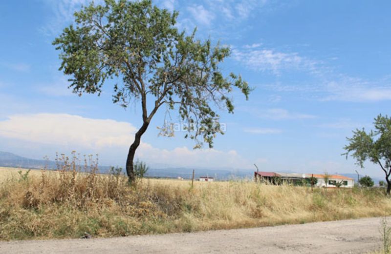 Foto 9b04b264-721c-4324-b681-696d27aa401d. Finca rústica a Casar de Escalona (El)