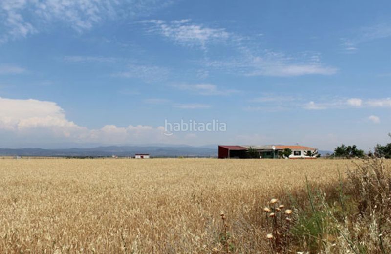 Foto e77056b4-c371-4bbc-99a7-4a115e4ece19. Finca rústica a Casar de Escalona (El)
