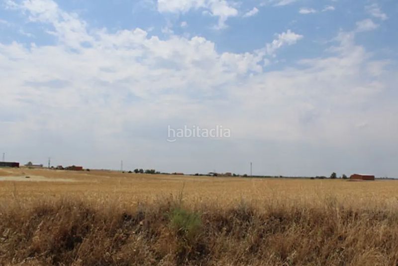 Foto b5372f74-d851-46fc-b98b-92d4ab339aab. Finca rústica a Casar de Escalona (El)