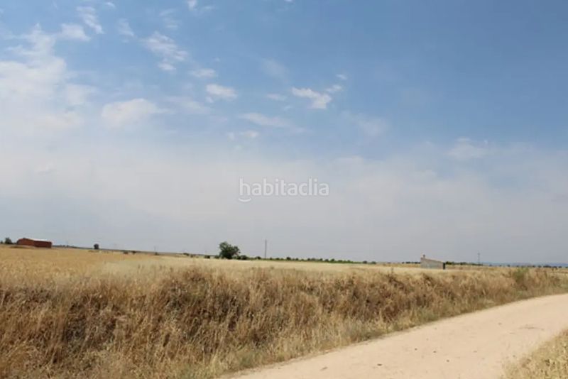 Foto d005e8d8-0280-47f5-b724-571b0e078c6e. Finca rústica a Casar de Escalona (El)