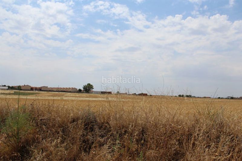 Foto f00beca9-81ea-4334-bec4-d81af6894907. Finca rústica a Casar de Escalona (El)