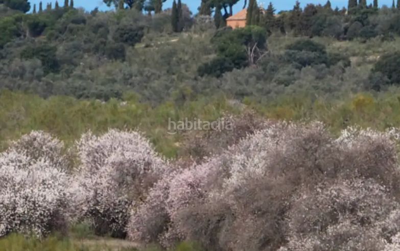 Foto 1e6efa8d-0d93-4124-860b-c34920a348b1. Finca rústica a Casarrubios del Monte