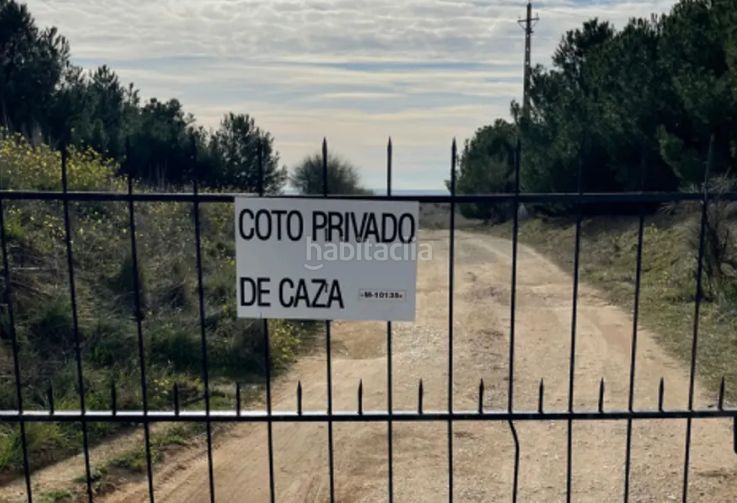 Foto cdcc7434-ba7a-4c72-abd3-89a892349dd4. Finca rústica a Casarrubios del Monte