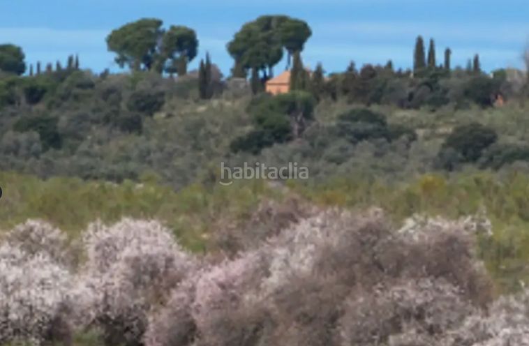 Foto d259c244-131e-4d0a-9ae6-f46cc6685c59. Finca rústica a Casarrubios del Monte