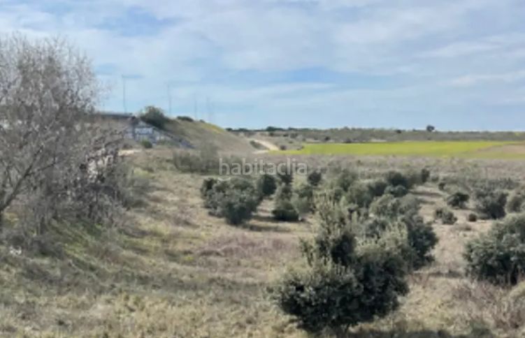 Foto d5eb0d5c-cbaa-4f9e-8bcc-e7990960d935. Finca rústica a Casarrubios del Monte