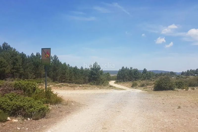 Foto b81c7add-daa2-4c9b-88e7-5bff44d55f6a. Finca rústica a Nerpio
