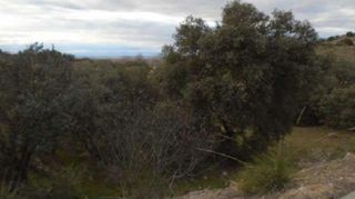 Terreny residencial a Los Cigarrales-La Bastida