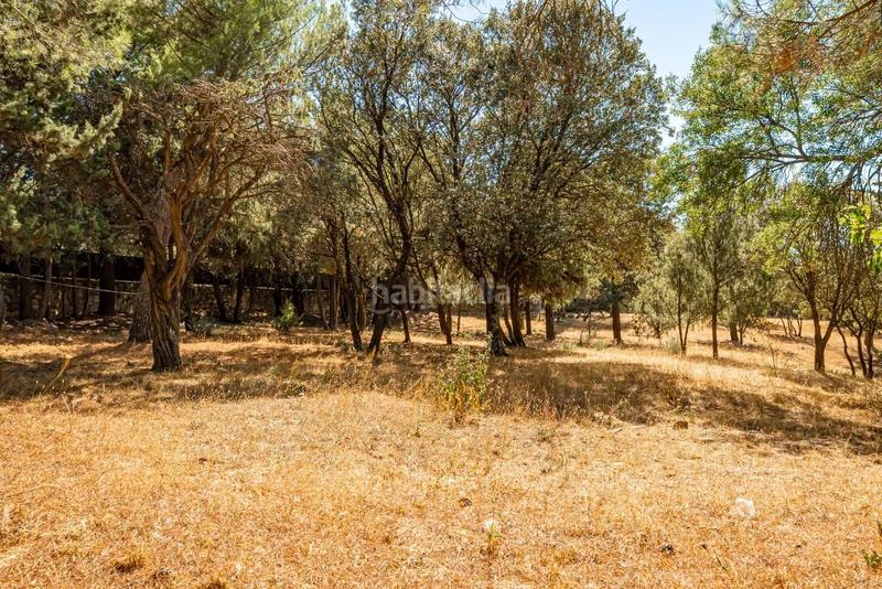 Foto 79c7033c-7c40-4201-8034-31300414305b. Masia amb calefacció aparcament a Fontenebro-Altavista Collado Villalba