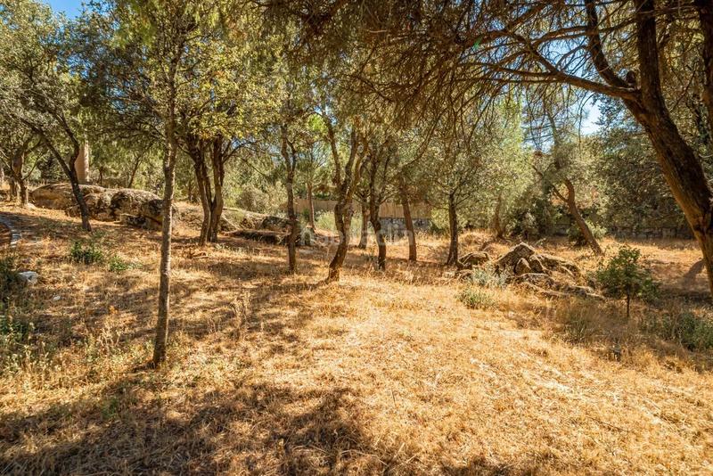 Foto d0374d47-5853-4c16-b777-776d7a250354. Masia amb calefacció aparcament a Fontenebro-Altavista Collado Villalba