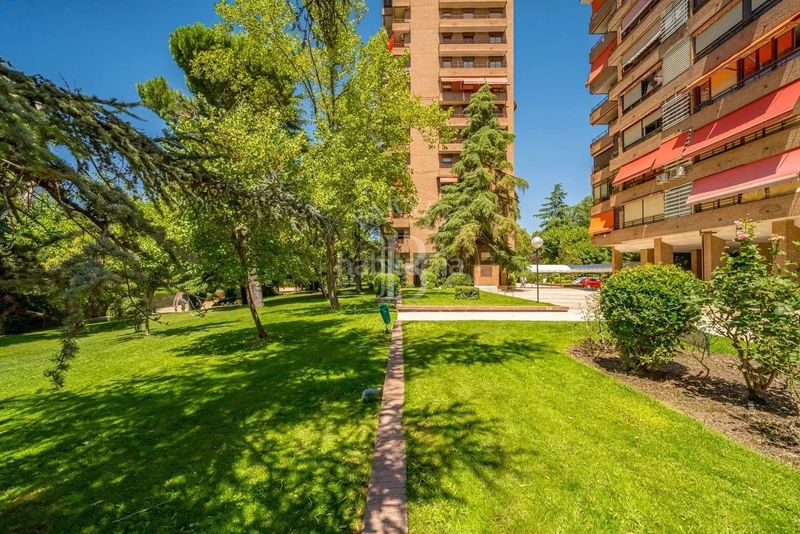 Foto 9749b5ad-0109-42f5-bbc5-f9b2c616b80d. Piso en Peñagrande Madrid