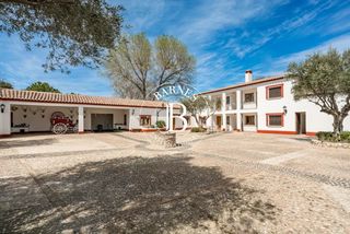 Casa en Alc�zar de San Juan