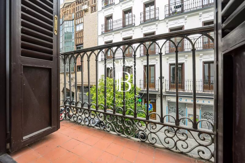 Foto 420019cd-a5fe-46c9-9c4e-1304b4b7201b. Piso en Palacio Madrid