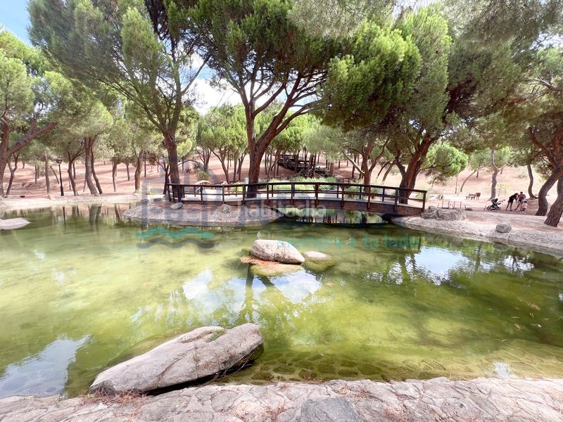 Foto 7ca2e602-d525-498f-8a87-0066d6e4f776. Pis amb calefacció piscina a Zona El Caño Arroyomolinos