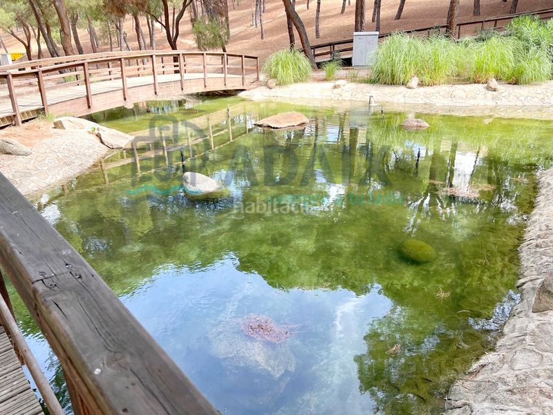 Foto d99951c9-618d-4a9d-a180-54da1d44ff04. Pis amb calefacció piscina a Zona El Caño Arroyomolinos