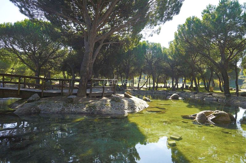 Foto ede74b91-7959-46b9-9edd-9e2f1c923332. Xalet amb xemeneia piscina a Casco Antiguo - La Dehesa - Los Monteros Arroyomolinos