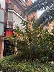 Piso  Avenida de abrantes. ¡oportunidad para reformar a tu gusto en la avenida de abrantes!