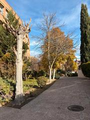 Lloguer Pis a Avenida Europa. Alvaria alquila precioso piso de 3 dormitorios en pozuelo de ala